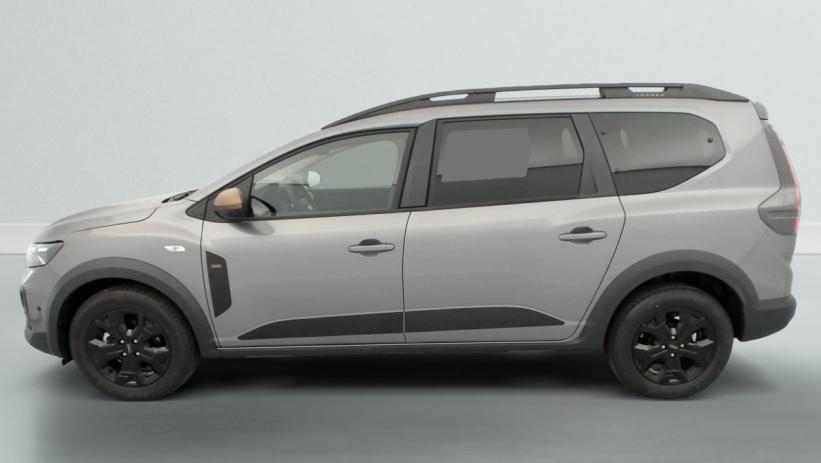 Aperçu du véhicule : TCE 110 7 PL EXTREME